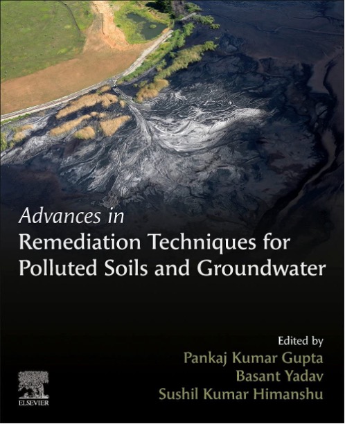 Advances in Remediation Techniques for Polluted Soils and Groundwater